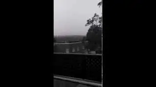 July Fog