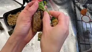 Mounting mini orchids