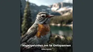 Stressvermindering met Kalmerende Vogelgeluiden, Pt.15