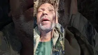 скибиди доп  доп ес ес ес нон