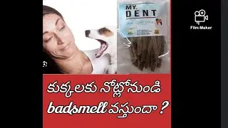 How to remove dog mouth smell | dog bad breath
