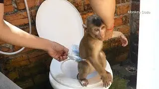 Dodo Late To Take Off Diaper And Bathing Cuz Mom Busy Work At The Market