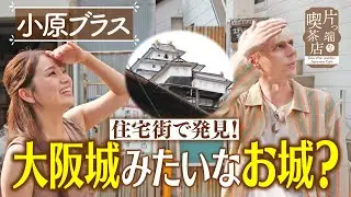 【小原ブラス】住宅街で発見？大阪城みたいなお城【片っ端から喫茶店】