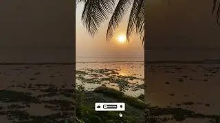ভাই একটা Subscribe করেন প্লিজ🙏🥹 #short #viral #natural