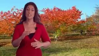 Virgo October 2013 Love Horoscope by Nadiya Shah