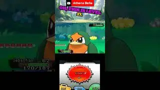 Shiny Taillow FOUND in DexNav Hunt in Pokemon Omega Ruby! #shorts