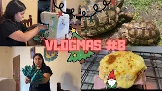 VLOGMAS #8 2025 tuve que agarrar la pala/ pelea de tortugas/ gremling trajo un regalo 