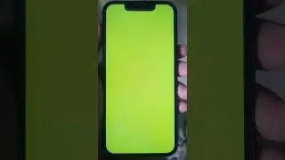 Not a Wallpaper: The Green Screen of iPhone Mini 13 (4 Years)
