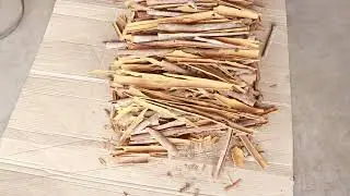 Split Cassia Good Quality