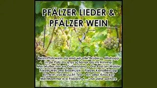 In de Palz, da ist es sch&auml;ner als im Himmel