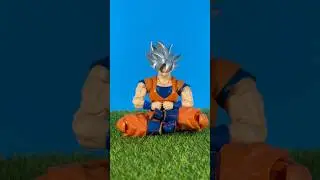 Goku&rsquo;s quest for Inner peace