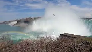 P9 A Journey Through Ontario Milton to Niagara Falls Travel Diary