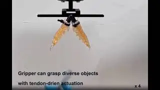 Swiss researchers have developed a sustainable robotic hand using waste shrimp shells. 🤖