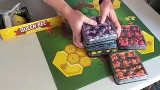 Queen Bee Unboxing Video