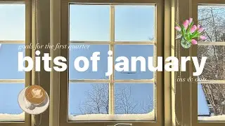 vlog. january in Stockholm. ranting & seeing friends