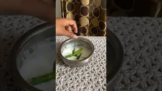 Real or fake? Mirchi se dahi banane ka tarika😱 #shorts #viral #youtubeshorts