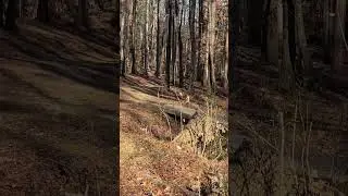 Disc golf is so fun