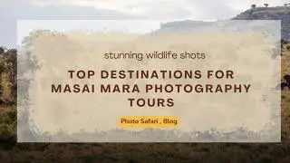 Top Destinations for Masai Mara Photography Tours 📸🦁