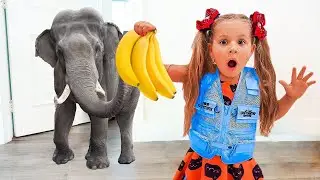 Diana really wants to have pets / Learns About Animals For Kids