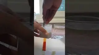 Nutrilite&trade; Протеиновый порошок! All Plant Protein Powder! Демонстрация.