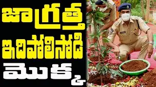 SP ammireddy plantation | ammireddy IPS | jagan pachathoranam in guntur sp office | sp ammireddy