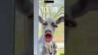 Baaaaa