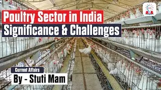 Poultry Sector in India: Significance and Challenges Explained | UPSC Current Affairs | Legacy IAS