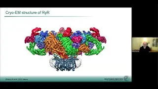 Bringing life into frozen proteins to elucidate their molecular mechanisms
