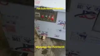 Automatic Fish Scaling Machine | Fast & Clean Fish Descaler Demo 🐟⚙️#fishprocessing
