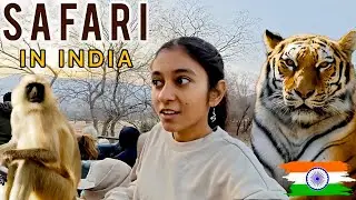 INCREDIBLE Safari in Ranthambore: We Spotted a TIGER! 🐅🇮🇳