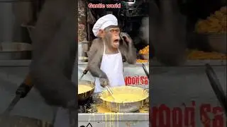 Monkey Making Pakoras While Talking on Phone 😂🐒 | Funny Monkey Cooking | Viral Shorts #viralvideo
