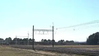 東武鉄道 DL大樹とちぎグルメ号  東武日光線 東武金崎～楡木 2026/01/24