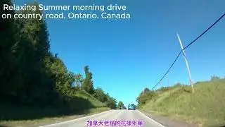 【街景】 Canadian country road drive in summer with relaxing music  #dashcams #街景  #countryroads #drive