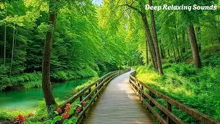 Deep Healing Music 🌿 Peaceful Nature Sounds Help Reduce Stress and Stop Overthinking & Peace