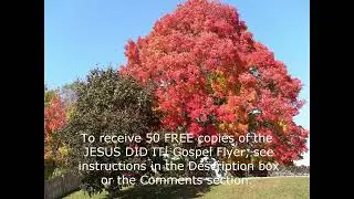 Please Help Distribute JESUS DID IT! Gospel Flyers For The Lord - 50 FREE COPIES - 