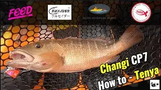 Yakventures Ep8 - Tenya Fishing, Changi Cp7 - Feed | Crusader | Kairos | Nautic Adventure Sports