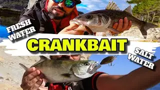 CRANKBAIT | MOVIMIENTOS y RECOGIDAS en agua DULCE y SALADA
