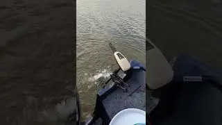 Striper splasher
