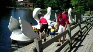 Swan Ride