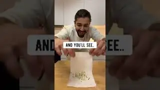 Как использовать киви для выращивания растений киви! Креативное объяснение