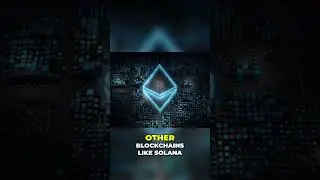 Unlock the Potential of Liquid Staking Protocols on Solana