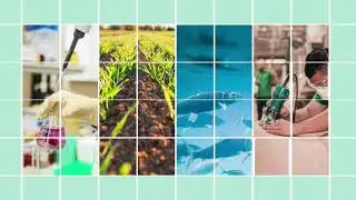 Bio-based innovation for sustainable use of natural resources