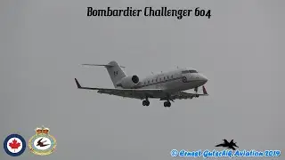 CanForce One Bombardier Challenger 604 (Justin Trudeau) Arriving + Motorcade | Toronto Pearson Int'l