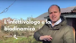 Cantina Falcone: l'infettivologo e la biodinamica