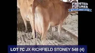 LOT 7C JX RICHFIELD STONEY 548 {4}