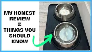 Best Stainless Steel Dog Bowls I Have EVER Owned