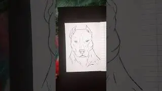 a ptbull Dog Drawing #shortfeed #viral #Tranding #song #phonkagressive