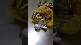 Drugs confiscated at the airport disguised as children&rsquo;s candy #drug #viral #shorts