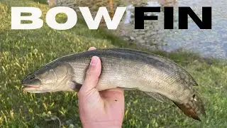 Insane PREHISTORIC Fish Caught! (Bowfin Fishing)