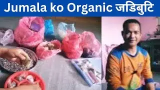 Jumala ko Pure Jadi Buti ll Nepali Tara smart ....
